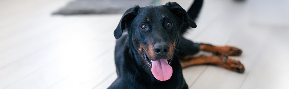 Zu Ihrer Information: